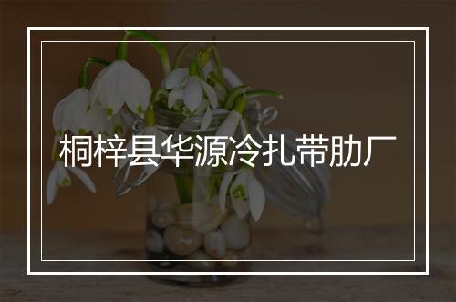桐梓县华源冷扎带肋厂