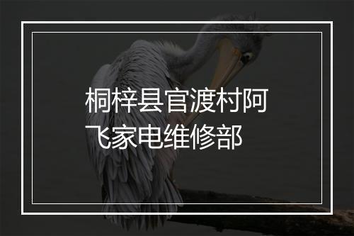 桐梓县官渡村阿飞家电维修部