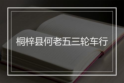 桐梓县何老五三轮车行