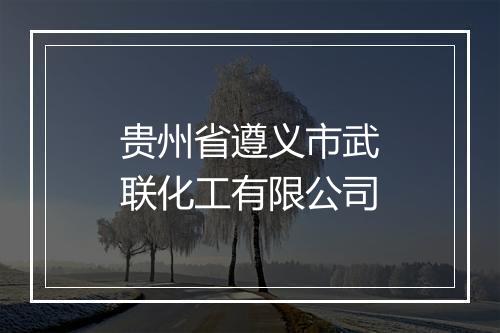 贵州省遵义市武联化工有限公司