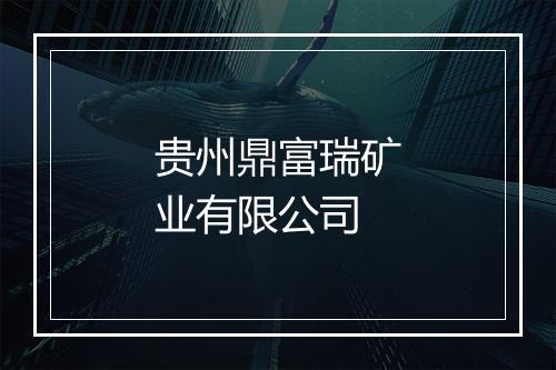 贵州鼎富瑞矿业有限公司