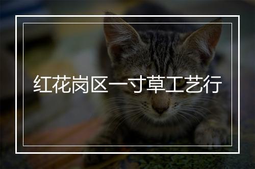 红花岗区一寸草工艺行
