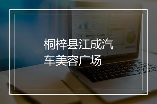 桐梓县江成汽车美容广场
