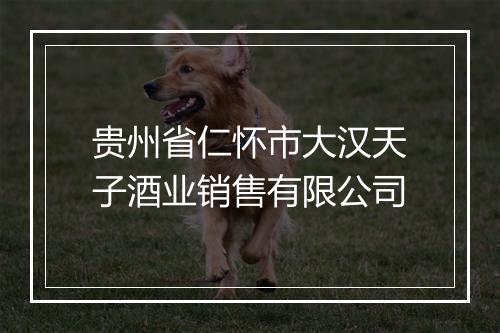 贵州省仁怀市大汉天子酒业销售有限公司