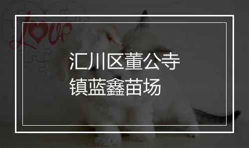 汇川区董公寺镇蓝鑫苗场