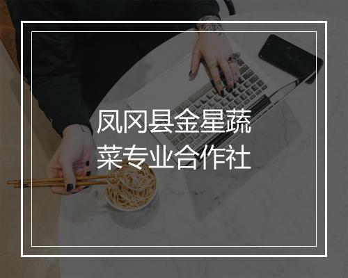 凤冈县金星蔬菜专业合作社