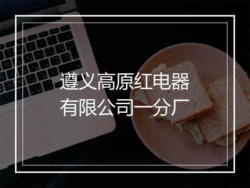 遵义高原红电器有限公司一分厂