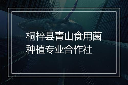 桐梓县青山食用菌种植专业合作社