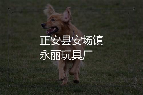 正安县安场镇永丽玩具厂