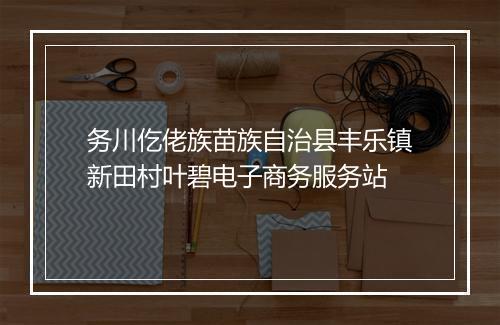 务川仡佬族苗族自治县丰乐镇新田村叶碧电子商务服务站