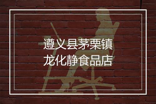 遵义县茅栗镇龙化静食品店