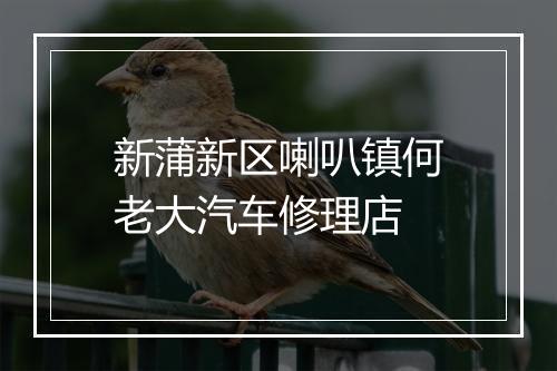 新蒲新区喇叭镇何老大汽车修理店