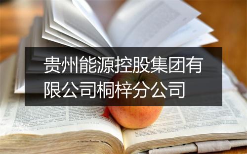 贵州能源控股集团有限公司桐梓分公司