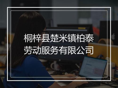 桐梓县楚米镇柏泰劳动服务有限公司
