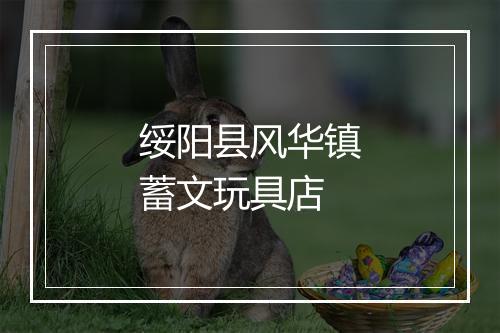绥阳县风华镇蓄文玩具店
