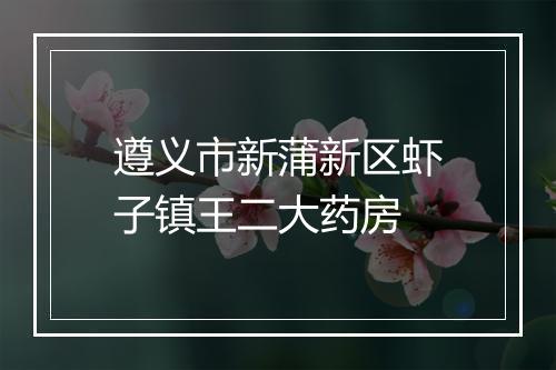 遵义市新蒲新区虾子镇王二大药房