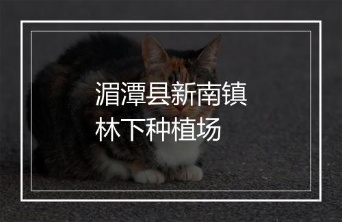 湄潭县新南镇林下种植场