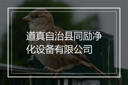 道真自治县同励净化设备有限公司