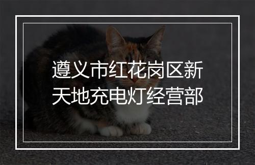 遵义市红花岗区新天地充电灯经营部