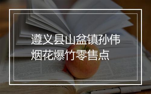遵义县山盆镇孙伟烟花爆竹零售点