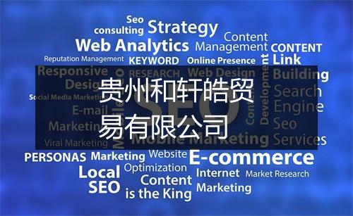 贵州和轩皓贸易有限公司