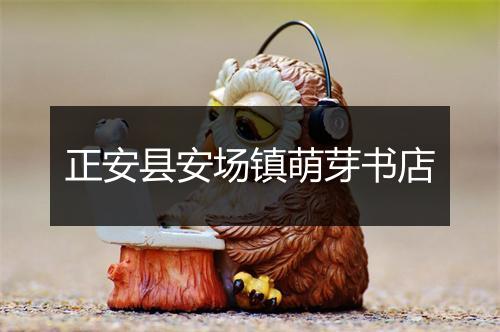 正安县安场镇萌芽书店