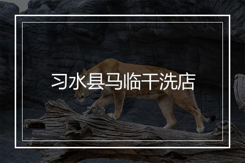 习水县马临干洗店