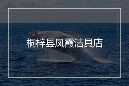 桐梓县凤霞洁具店
