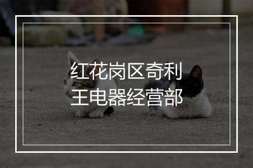 红花岗区奇利王电器经营部