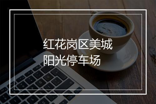 红花岗区美城阳光停车场