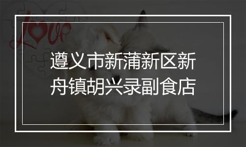 遵义市新蒲新区新舟镇胡兴录副食店