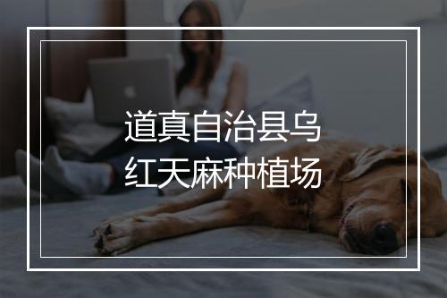道真自治县乌红天麻种植场