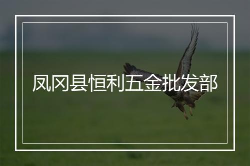 凤冈县恒利五金批发部