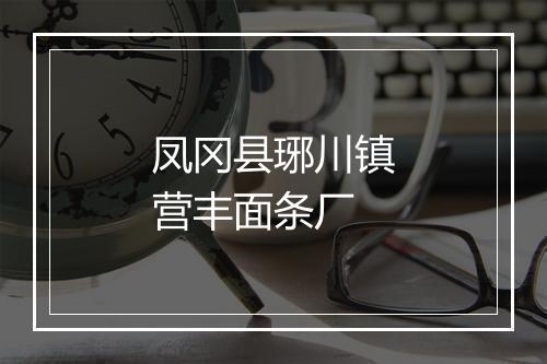 凤冈县琊川镇营丰面条厂