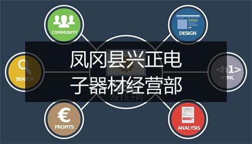 凤冈县兴正电子器材经营部