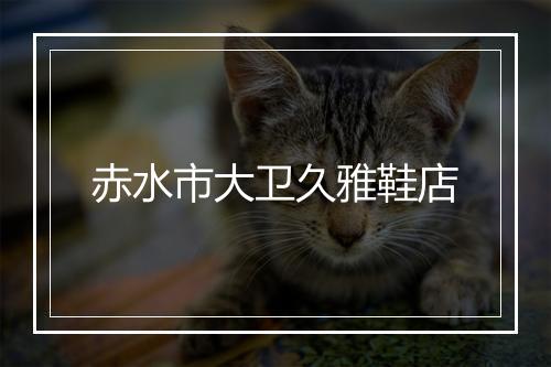 赤水市大卫久雅鞋店