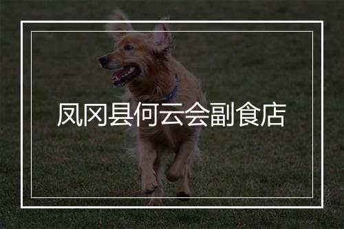 凤冈县何云会副食店