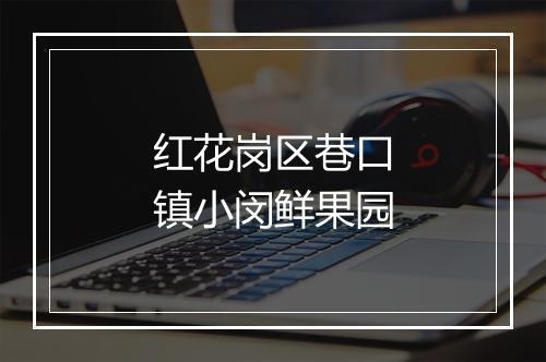 红花岗区巷口镇小闵鲜果园