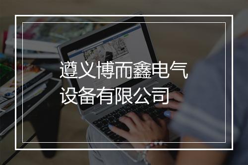 遵义博而鑫电气设备有限公司
