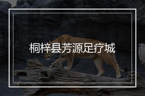 桐梓县芳源足疗城