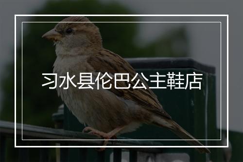 习水县伦巴公主鞋店