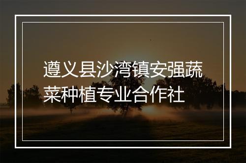 遵义县沙湾镇安强蔬菜种植专业合作社