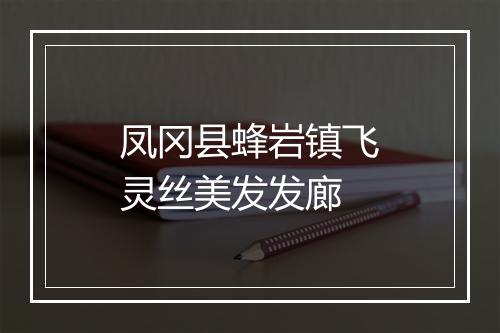 凤冈县蜂岩镇飞灵丝美发发廊
