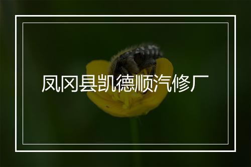 凤冈县凯德顺汽修厂