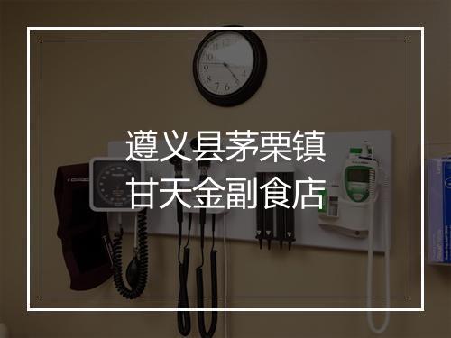 遵义县茅栗镇甘天金副食店