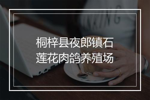 桐梓县夜郎镇石莲花肉鸽养殖场