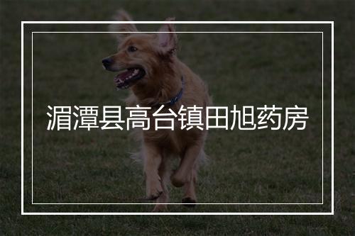 湄潭县高台镇田旭药房
