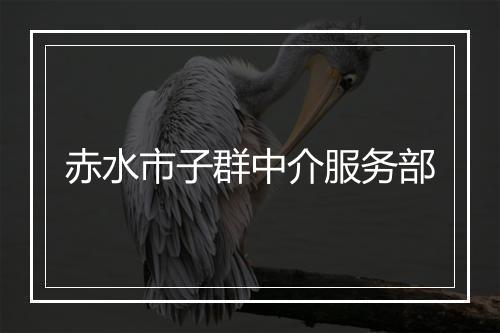 赤水市子群中介服务部