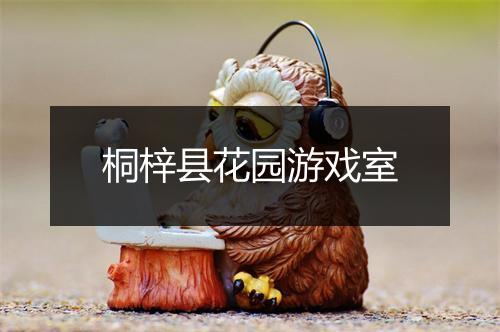 桐梓县花园游戏室