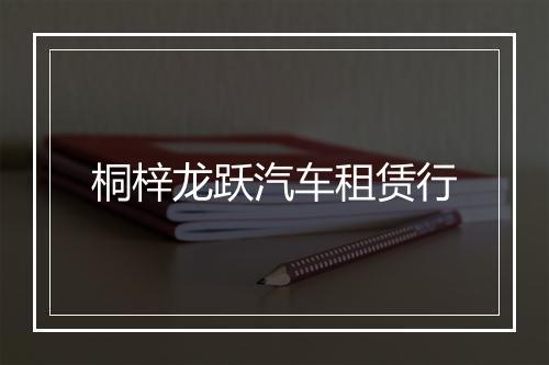 桐梓龙跃汽车租赁行